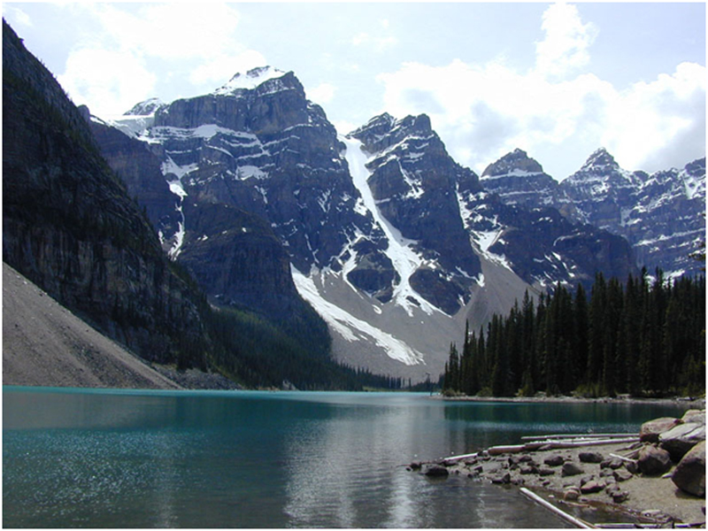 FAOL homepage image