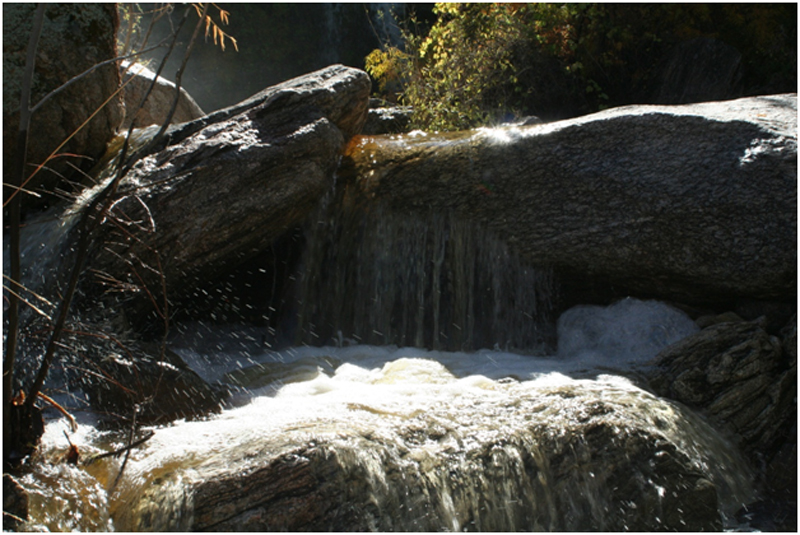 FAOL homepage image