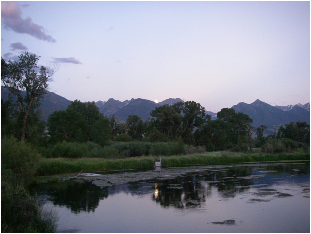 FAOL homepage image