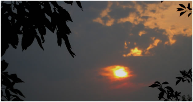 FAOL homepage image