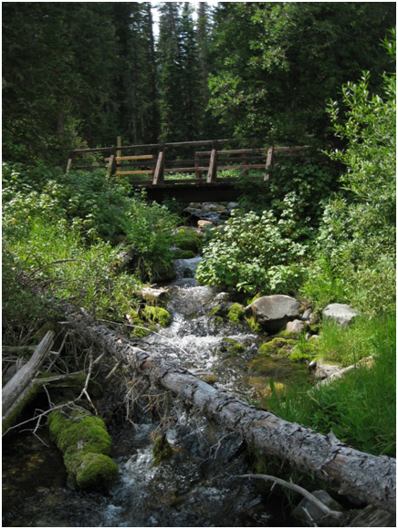 FAOL homepage image