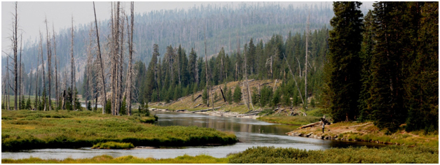FAOL homepage image