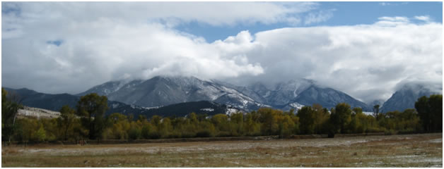 FAOL homepage image