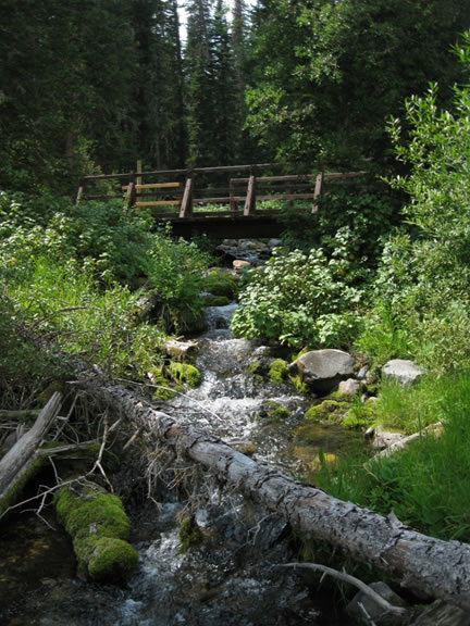FAOL homepage image