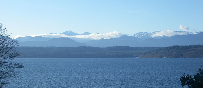 FAOL homepage image