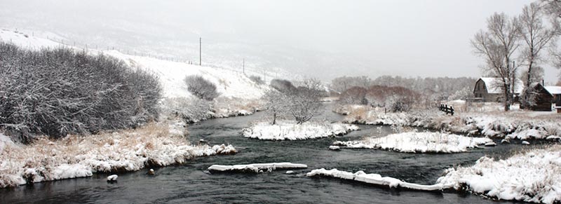 FAOL homepage image