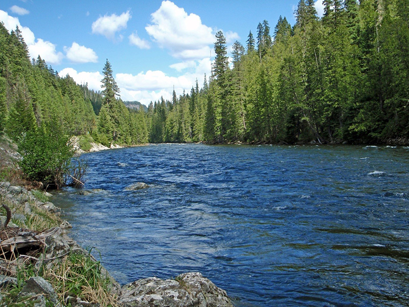 FAOL homepage image