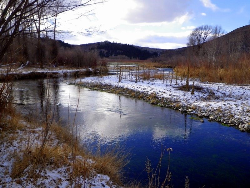 FAOL homepage image