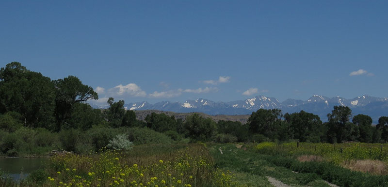 FAOL homepage image