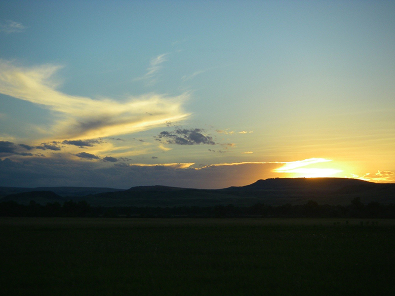 FAOL homepage image