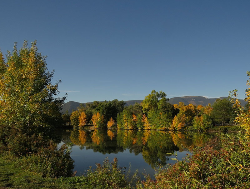 FAOL homepage image