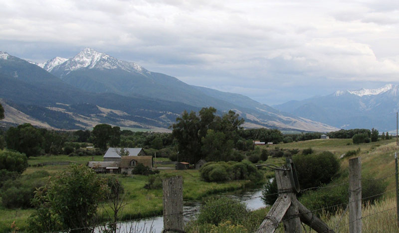 FAOL homepage image