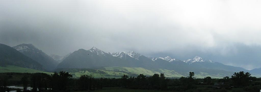 FAOL homepage image