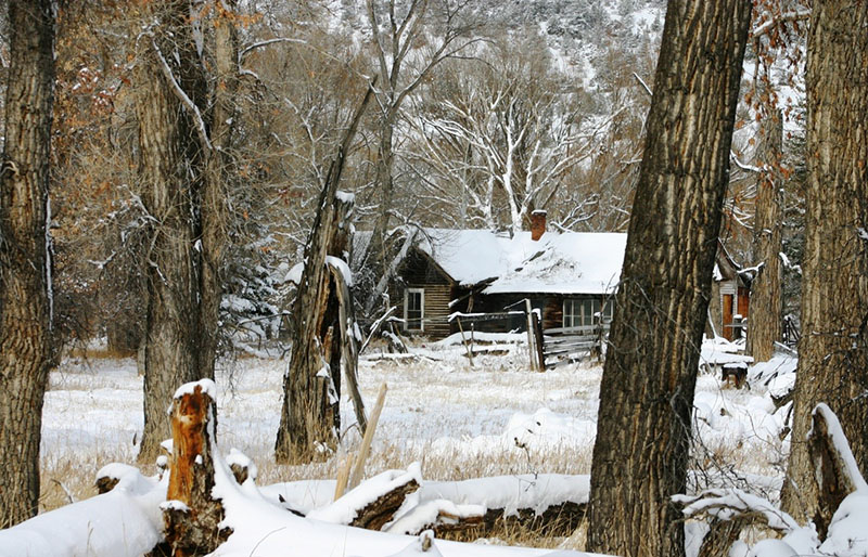 FAOL homepage image