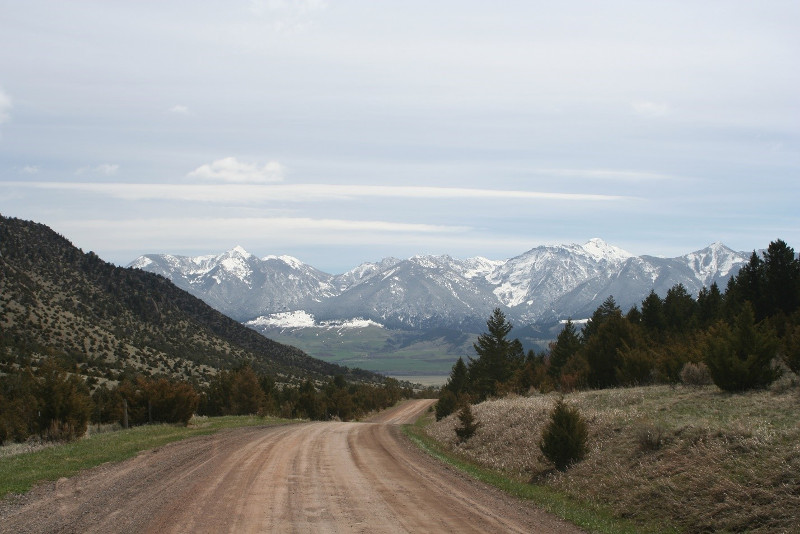 FAOL homepage image
