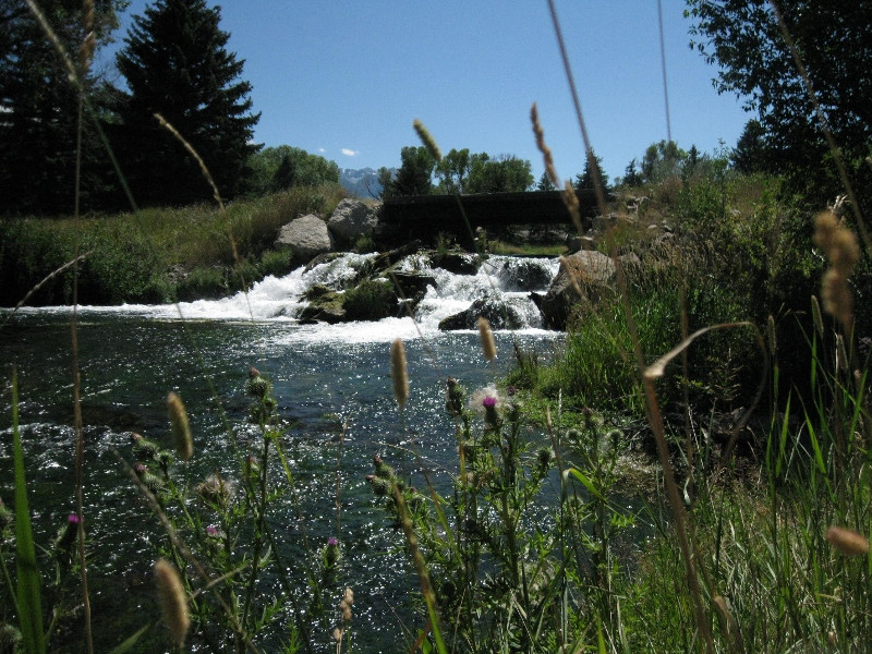 FAOL homepage image