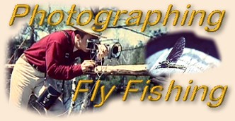 Welcome to our Photography Series