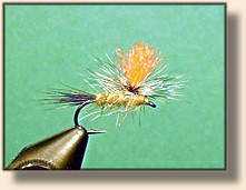 Parachute Hare's Ear