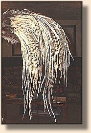 Conranch Dry Fly Saddle