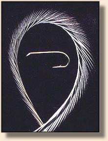 Saddle Hackle and #18 Hook