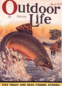 A 1931 Classic