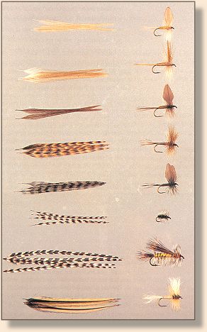Hackle and related flies