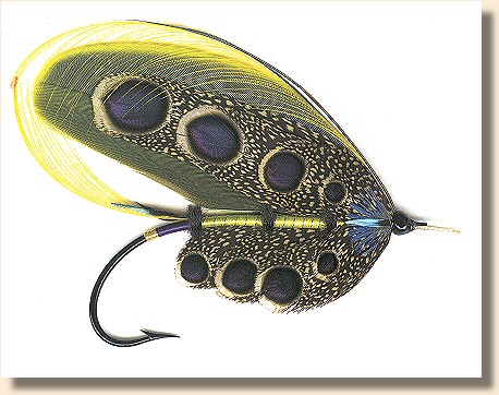 Emerald Peacock