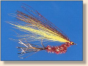 Just one of the 275 flies in this book!