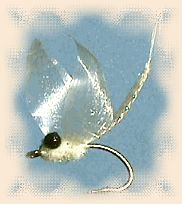The Snowfly