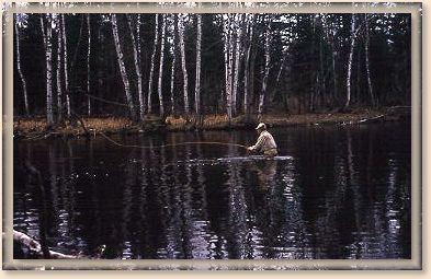 Vince on South Branch