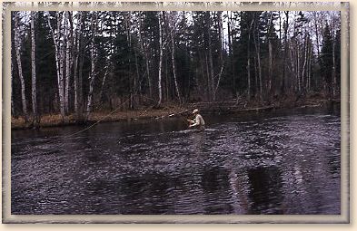 Vince on South Branch
