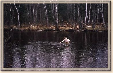 Vince on South Branch