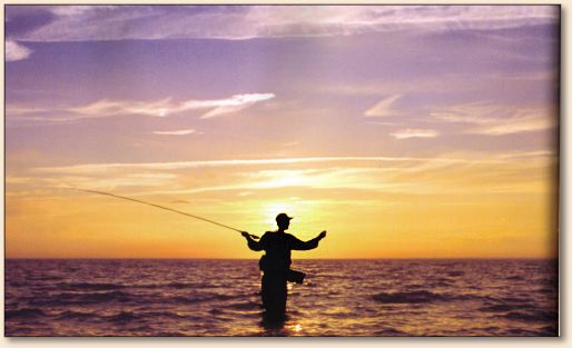Sunset Angler