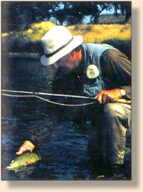 Jim Schollmeyer