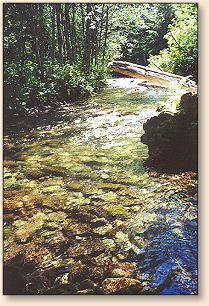 Small favorite Oregon stream