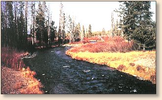Madison River