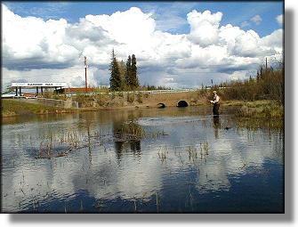 Badger Slough - Badger Gas in the background.
Gas, restrooms and a pretty mean jalapeno cheeze hot dog!