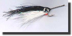 Experimental Fly