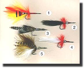 Tarpon Flies