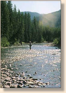 Upper Flathead River