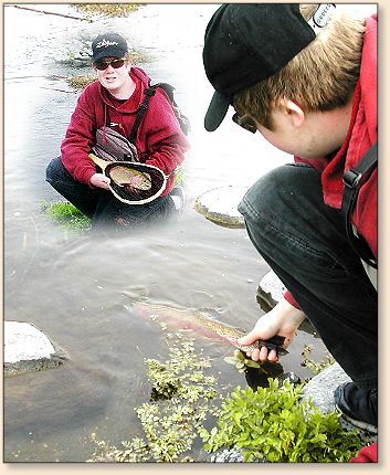 ffb reviving the trout