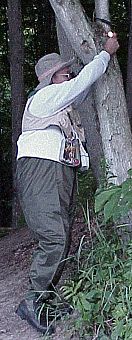 Parnelli marking the trail in with a snake lite!