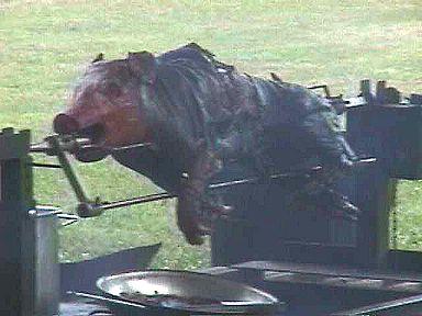 Pig on a stick
