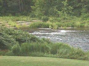 Riffle above the Home Pool