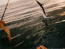 Sail 30 Feet Away