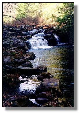 Small Falls on the Nant