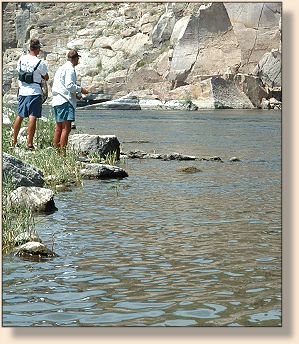 Shawn trying to get another fish