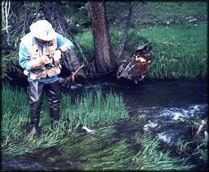 slicfoot and rainbow