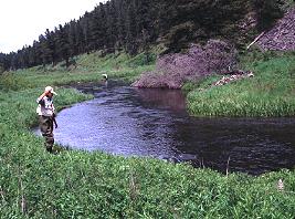 Double Hook up -JC and Lady