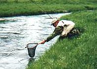 Al Campbell landing one on Castle Creek.